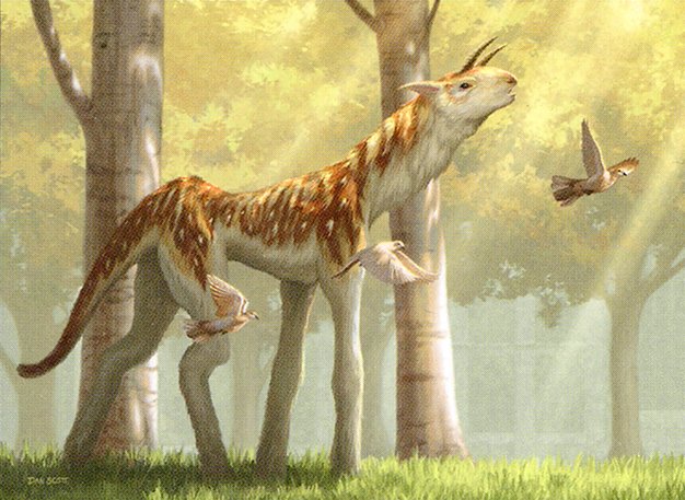 Sylvan Brushstrider