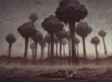 Dormant Gomazoa