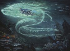 Eel Umbra