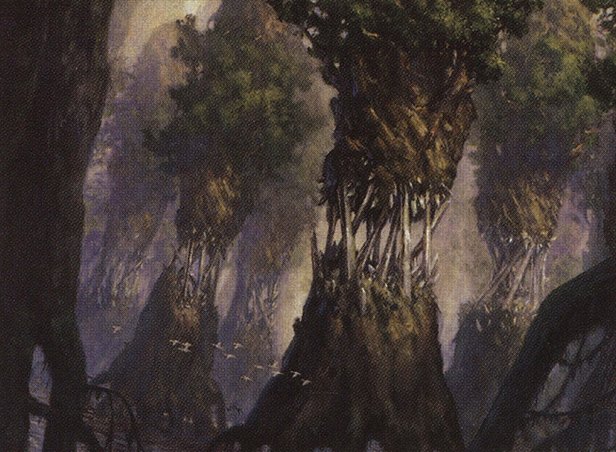 Evolving Wilds