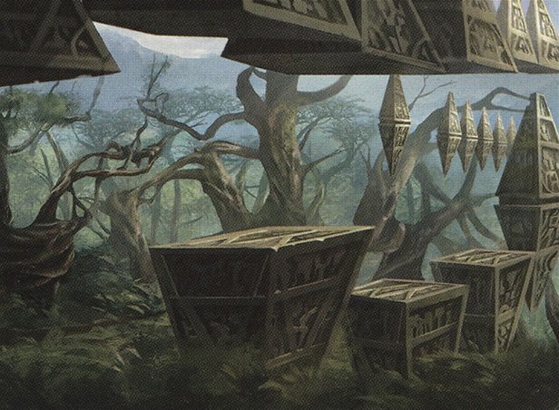 Forest