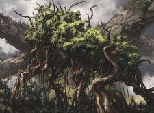 Jaddi Lifestrider