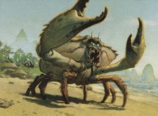 Jwari Scuttler