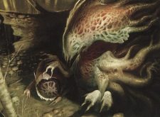 Nest Invader