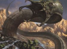 Pelakka Wurm
