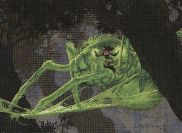 Spider Umbra