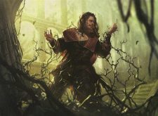 Axebane Guardian