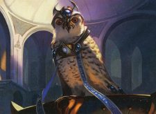 Judge’s Familiar