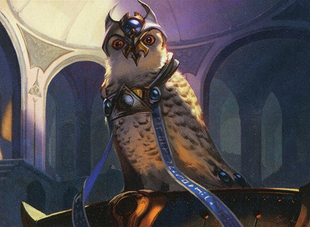 Judge’s Familiar
