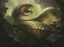 Terrus Wurm