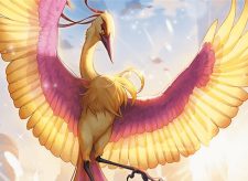 Birds of Paradise