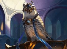 Judge’s Familiar