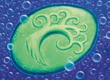 Simic Signet