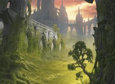Stomping Ground