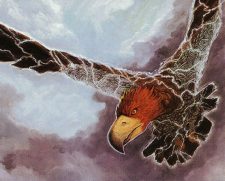 Mercurial Kite