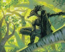 Treetop Scout