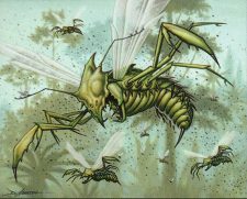 Xantid Swarm