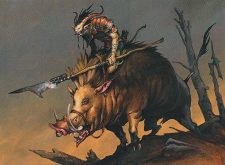 Boartusk Liege