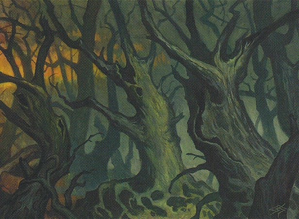 Forest