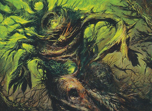Foxfire Oak