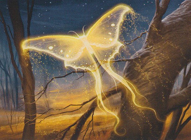 Goldenglow Moth