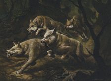 Howl of the Night Pack