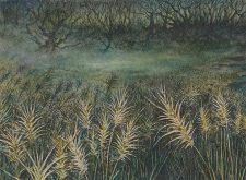 Plains