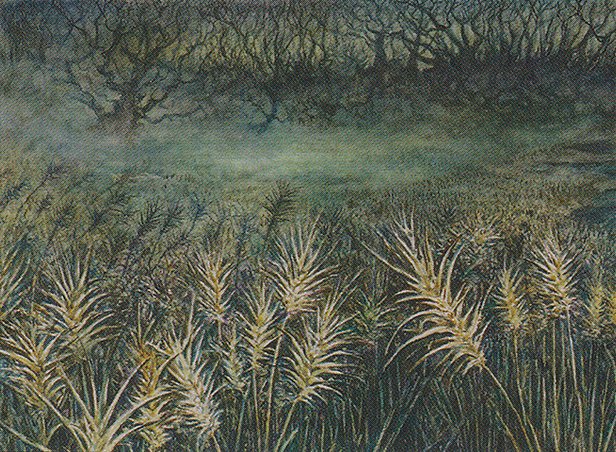 Plains