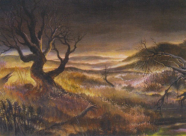 Plains
