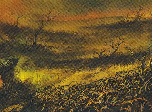 Plains