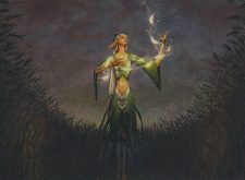 Seedcradle Witch