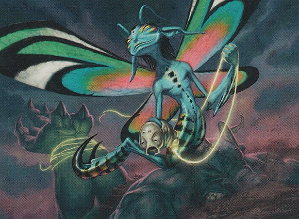 Silkbind Faerie