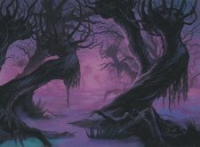 Swamp