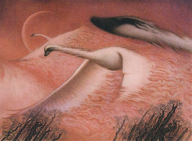 Swans of Bryn Argoll