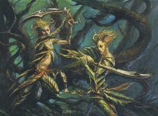 Wildslayer Elves