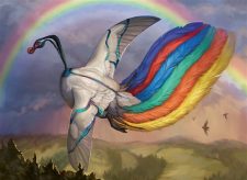 Birds of Paradise