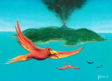 Birds of Paradise