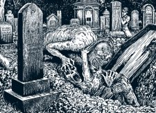 Carrion Feeder
