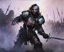 Diregraf Captain