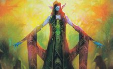 Elvish Visionary