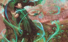 Evolution Sage