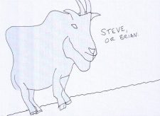 Mountain Goat