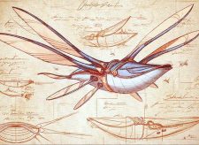 Ornithopter