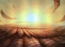 Plains
