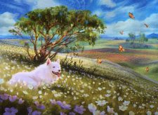 Plains