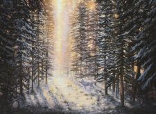 Snow-Covered Forest