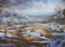 Snow-Covered Plains