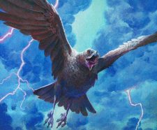 Storm Crow