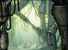 Swamp