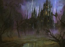 Swamp